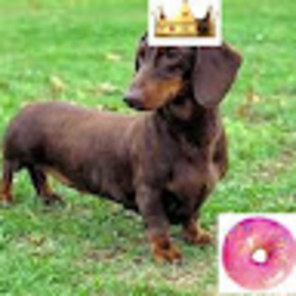 Meet your Posher, Weiner
